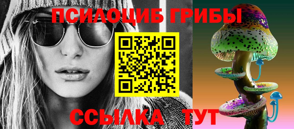 Галлюциногенные грибы прущие грибы Троицк